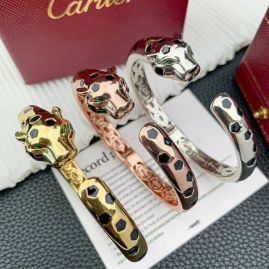 Picture of Cartier Bracelet _SKUCartierbracelet08cly401215